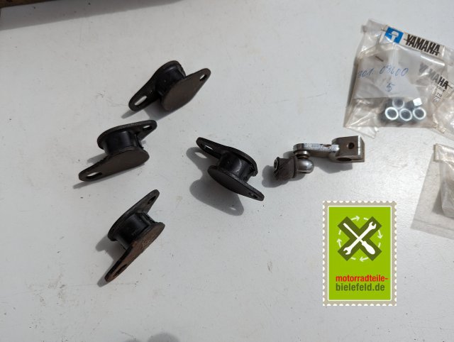 PXL_20240518_104332895